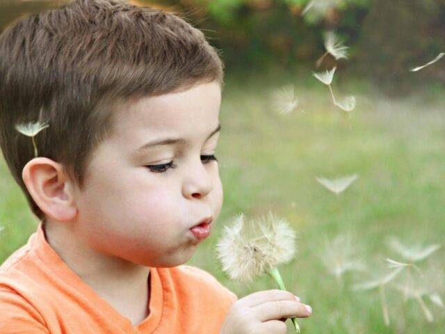 Understanding Child Psychology: Reasons for Referral to a Psychologist
